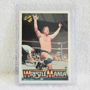 5/$20  Excellent 1990 Classic Rowdy Roddy Piper WrestleMania III WWF Card 18!!